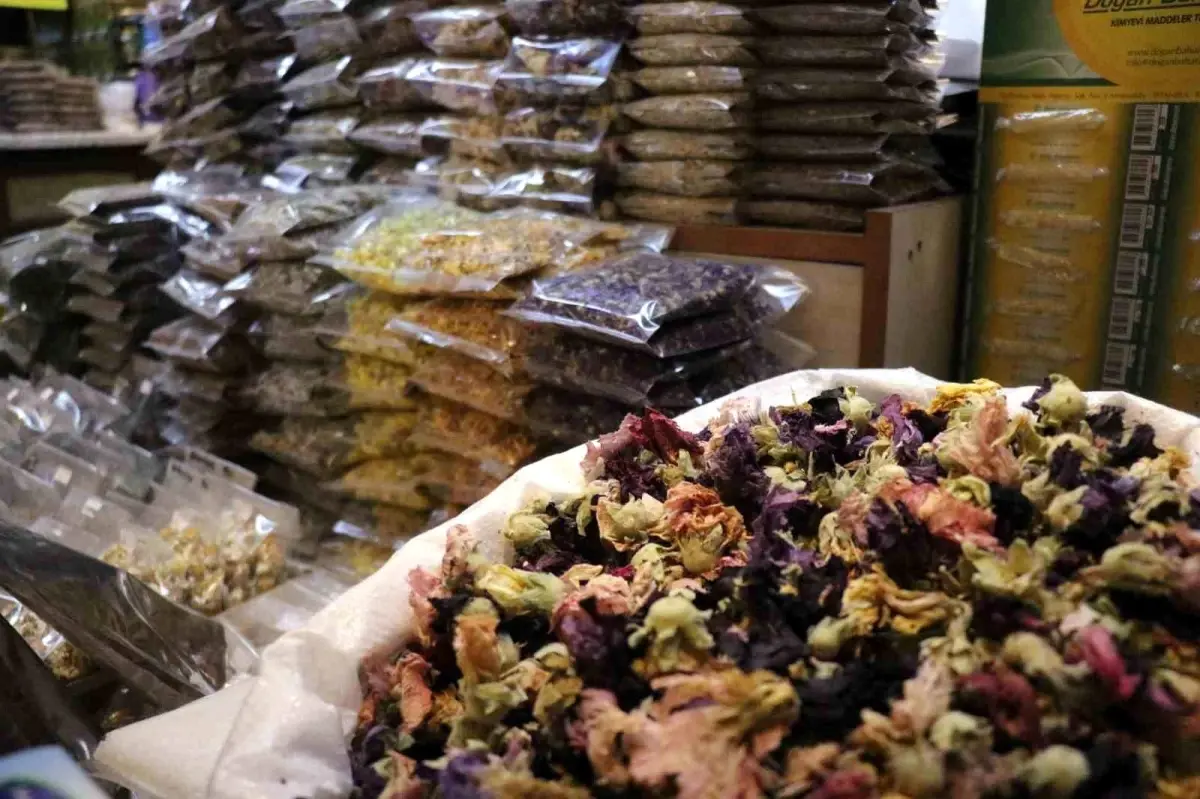 sakaryada soguk alginligina karsi aktarlara yogun ilgi jZn9ayjO