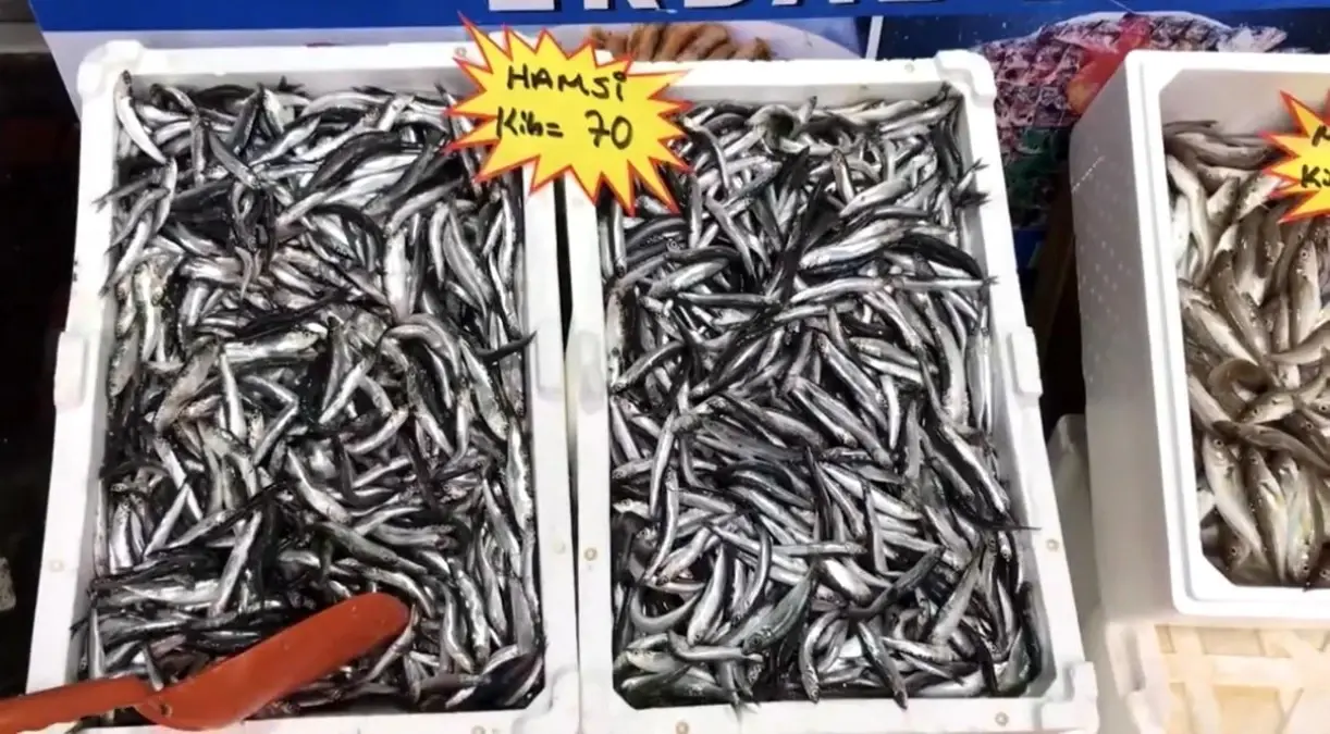 akcakoca balikci barinagi baskanindan taze balik uyarisi T9iEgJWe.jpg