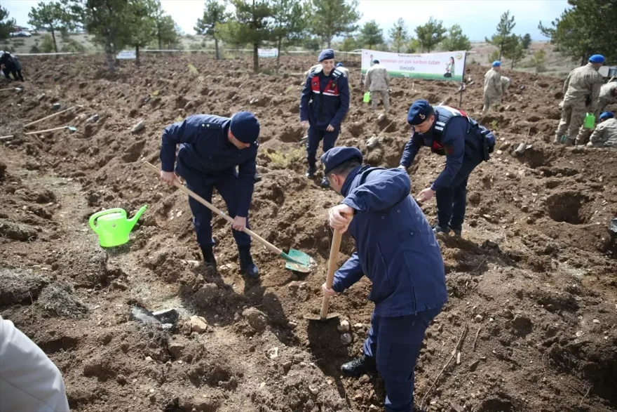 Kastamonu’da Ağaçlandırma Etkinliği Gerçekleşti