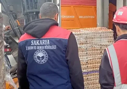 Sakarya’da 42 Bin Sahte Organik Yumurtaya El Konuldu