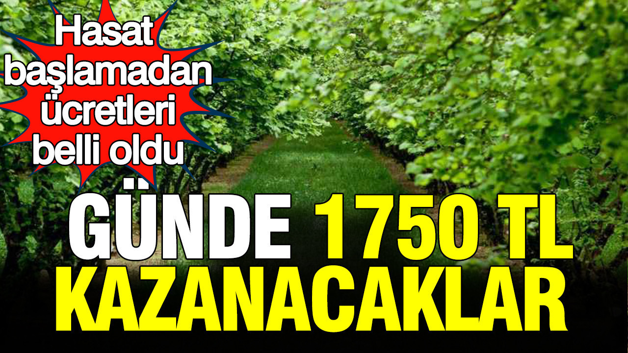 Hasat baslamadan ucretleri belli oldu gunde 1750 tl kazanacaklar b1iRhWBt